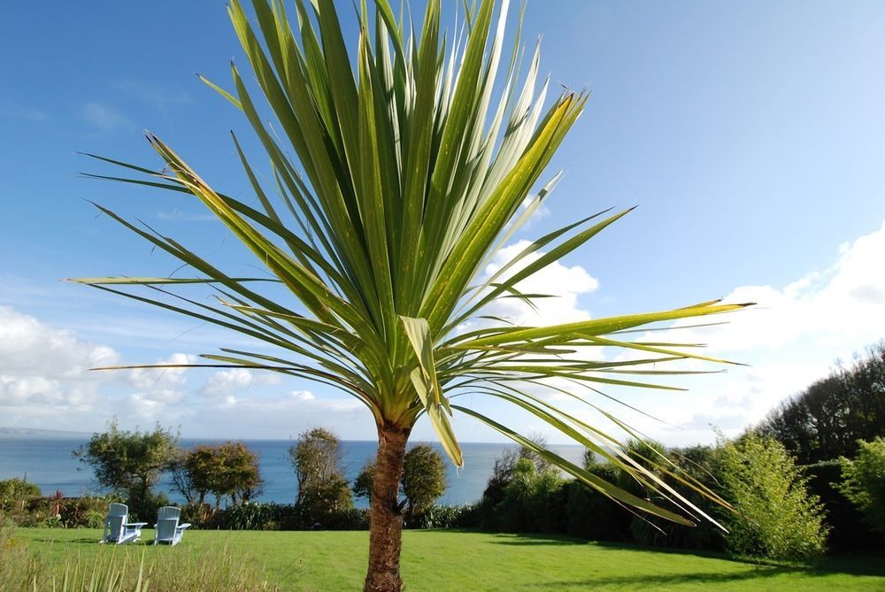 Trevalsa Court Hotel Mevagissey Exterior photo